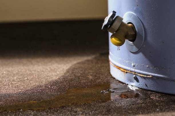 Best Commercial water damage restoration  in Gleason, TN