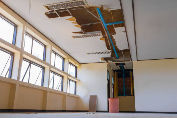 Best Water damage contractors near me  in Gleason, TN