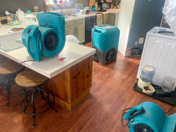Best Residential water damage restoration  in Gleason, TN