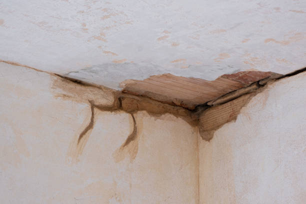 Best Emergency water damage restoration  in Gleason, TN