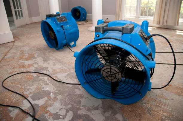 Best Sewage cleanup and water damage restoration  in Gleason, TN