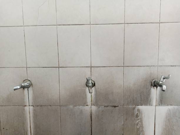 Best 24/7 water damage repair  in Gleason, TN