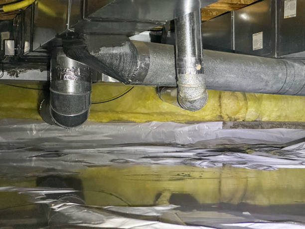Best Flood damage cleanup  in Gleason, TN
