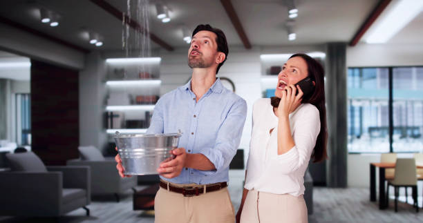 Best Water damage restoration near me  in Gleason, TN